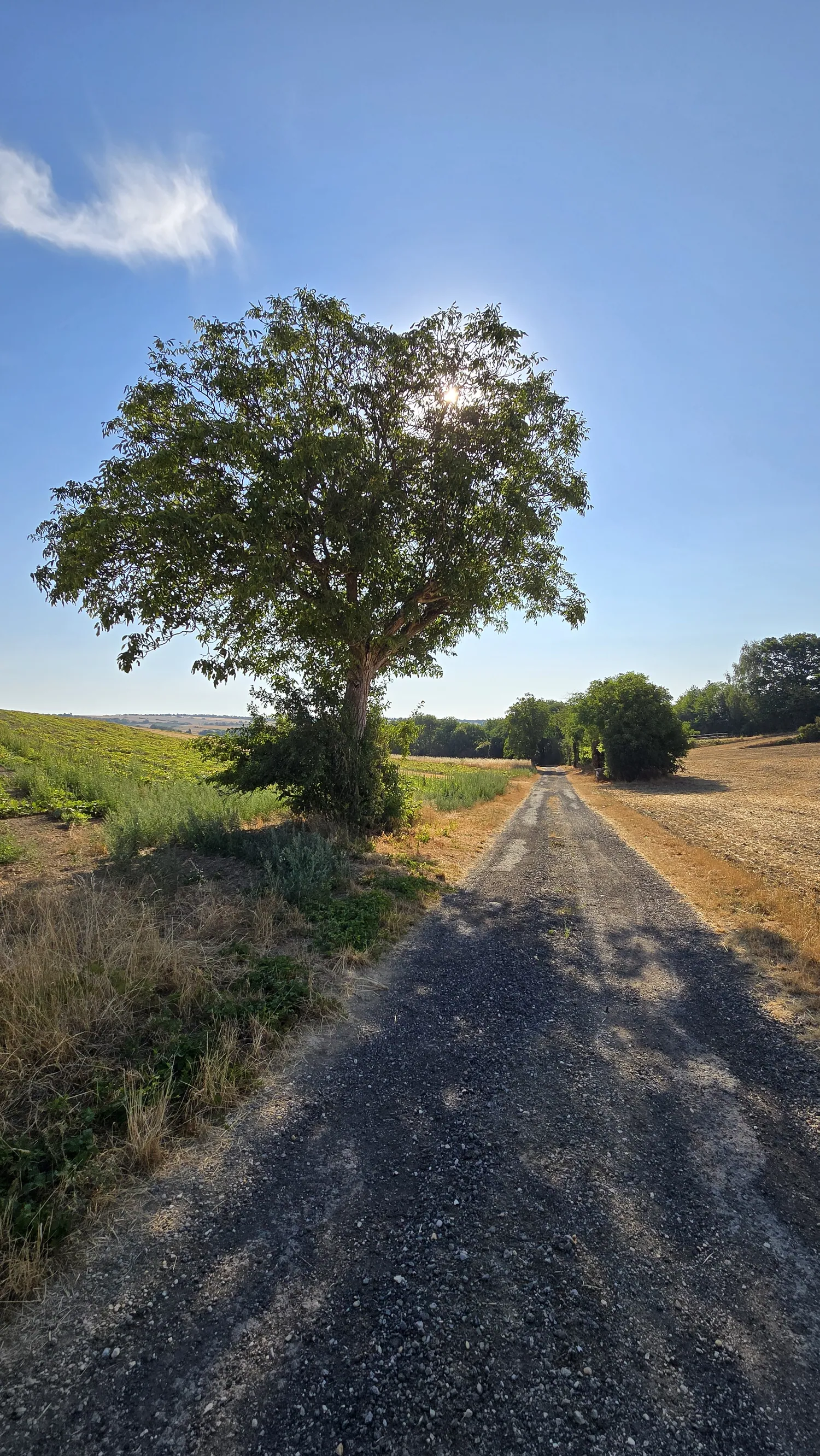 Tut gut-Schritteweg Hochleithen
