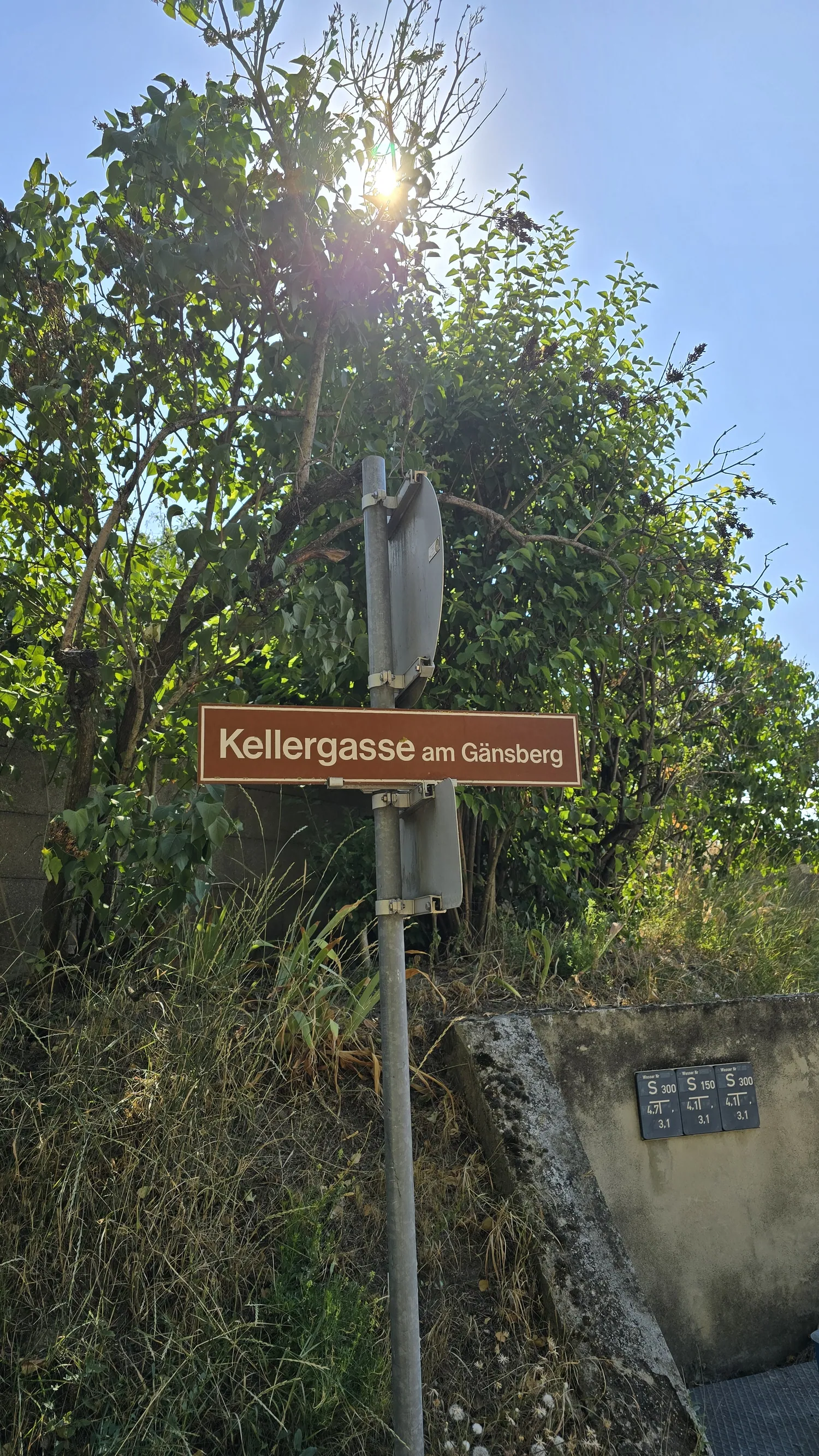 Spaziergang nordöstlich von Großebersdorf